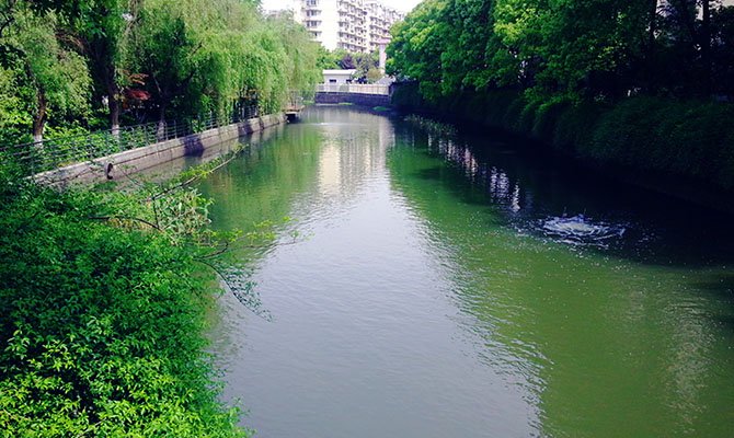 浙江孝感大石碶